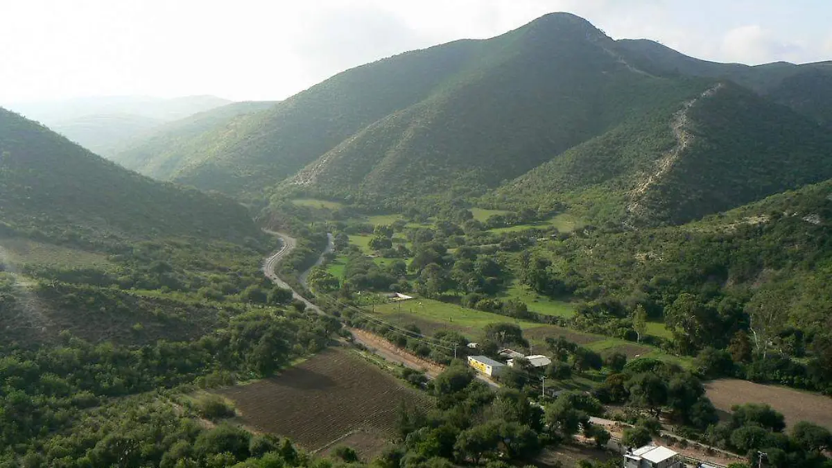 picacho Cárdenas